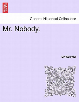 Könyv Mr. Nobody. Lily Spender