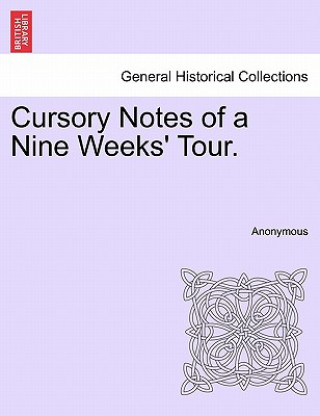 Book Cursory Notes of a Nine Weeks' Tour. Anonymous