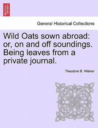 Book Wild Oats Sown Abroad Theodore B Witmer