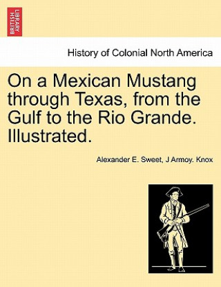 Kniha On a Mexican Mustang through Texas, from the Gulf to the Rio Grande. Illustrated. J Armoy Knox