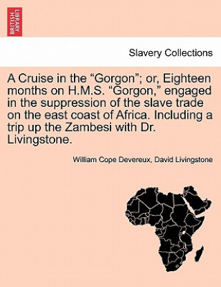 Kniha Cruise in the Gorgon; Or, Eighteen Months on H.M.S. Gorgon, Engaged in the Suppression of the Slave Trade on the East Coast of Africa. Including a Tri Livingstone