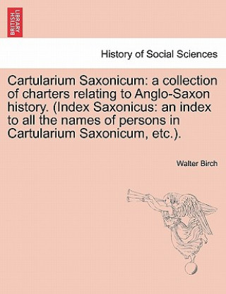 Buch Cartularium Saxonicum Walter Birch