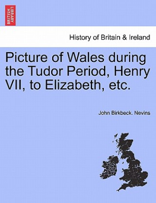 Carte Picture of Wales During the Tudor Period, Henry VII, to Elizabeth, Etc. John Birkbeck Nevins