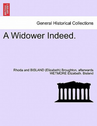 Knjiga Widower Indeed. Afterwards Wetmore Elizabeth Bisland