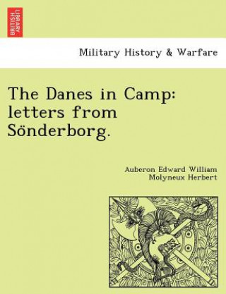 Kniha Danes in Camp Auberon Edward William Molyneux Herbert