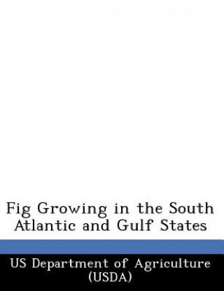 Carte Fig Growing in the South Atlantic and Gulf States 