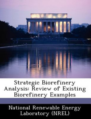 Kniha Strategic Biorefinery Analysis 