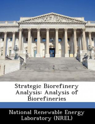 Kniha Strategic Biorefinery Analysis 