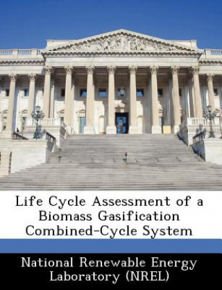 Książka Life Cycle Assessment of a Biomass Gasification Combined-Cycle System 