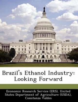 Kniha Brazil's Ethanol Industry Constanza Valdes