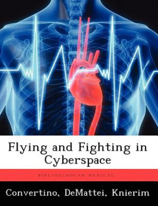 Buch Flying and Fighting in Cyberspace Knierim