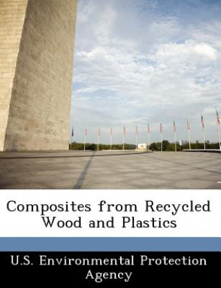 Könyv Composites from Recycled Wood and Plastics 