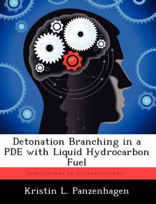 Könyv Detonation Branching in a Pde with Liquid Hydrocarbon Fuel Kristin L Panzenhagen