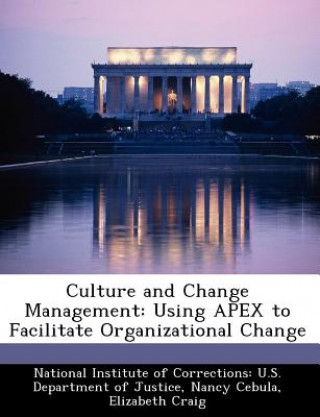 Kniha Culture and Change Management Elizabeth Craig