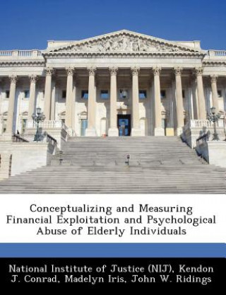 Kniha Conceptualizing and Measuring Financial Exploitation and Psychological Abuse of Elderly Individuals Madelyn Iris