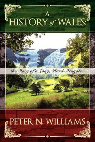 Knjiga History of Wales Peter N Williams