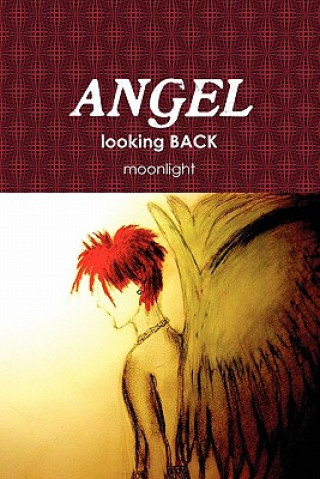 Book Angel Looking Back moonlight