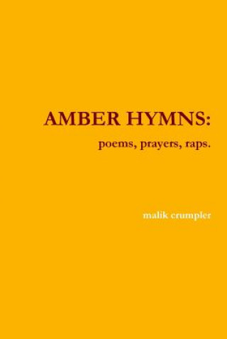 Libro Amber Hymns malik crumpler