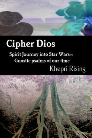 Książka Cipher Dios Khepri Rising