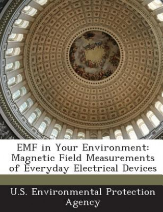 Book Emf in Your Environment 