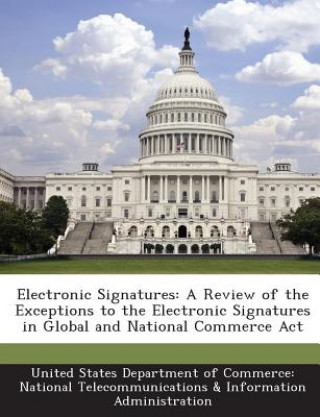 Kniha Electronic Signatures 
