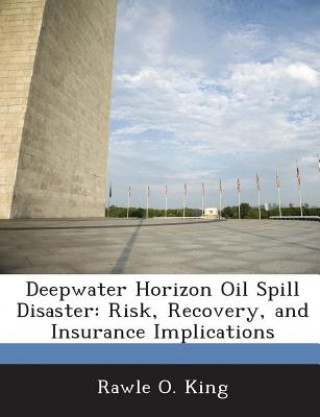Könyv Deepwater Horizon Oil Spill Disaster Rawle O King