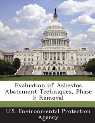 Carte Evaluation of Asbestos Abatement Techniques, Phase I 