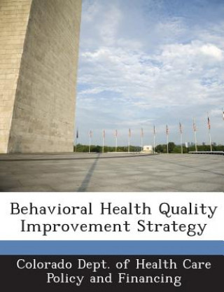 Kniha Behavioral Health Quality Improvement Strategy 