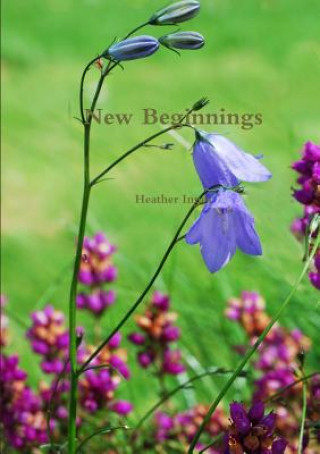 Kniha New Beginnings Heather Innes