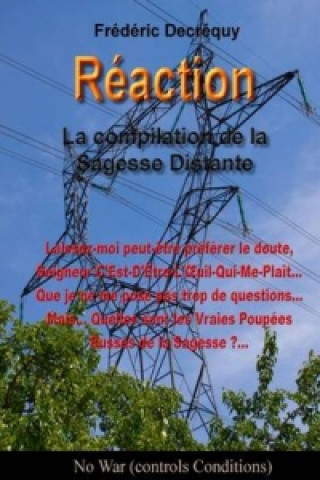 Libro Reaction Frederic Decrequy