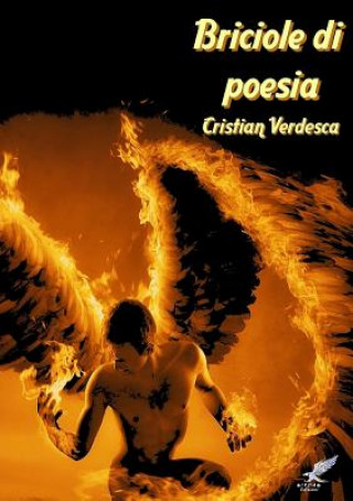 Buch Briciole di Poesia Cristian Verdesca