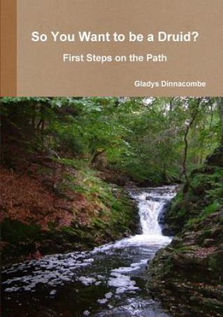 Kniha So You Want to be a Druid? - First Steps on the Path Gladys Dinnacombe