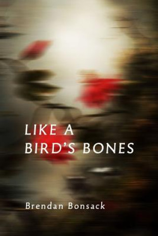 Kniha Like a Bird's Bones Brendan Bonsack