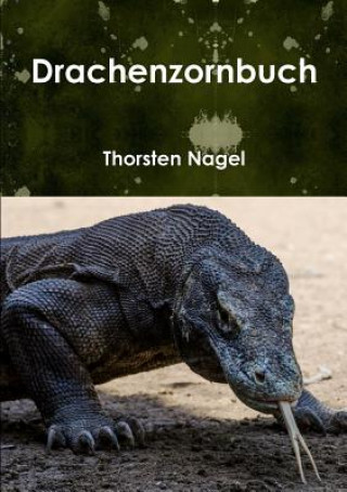 Książka Drachenzornbuch Thorsten Nagel