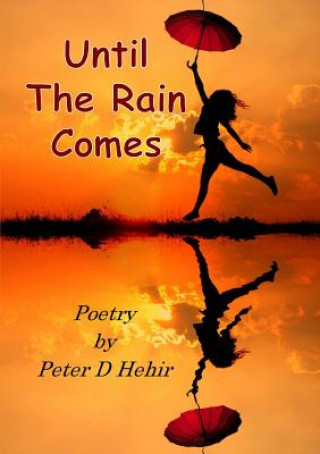 Buch Until The Rain Comes Peter D Hehir