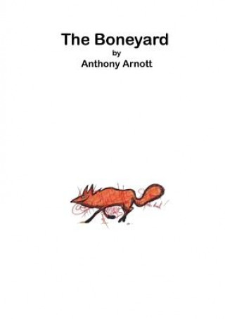 Livre Boneyard Anthony Arnott