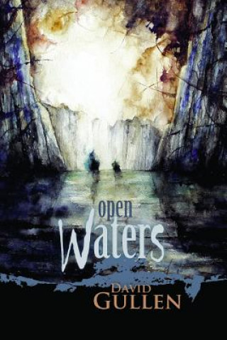 Book Open Waters David Gullen