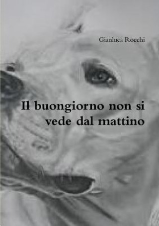 Книга Buongiorno Non Si Vede Dal Mattino Gianluca Rocchi