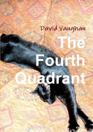 Könyv Fourth Quadrant David (Butterworths European Information Services) Vaughan