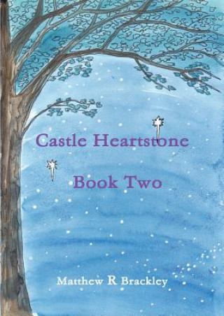 Kniha Castle Heartstone Book Two Matthew R Brackley