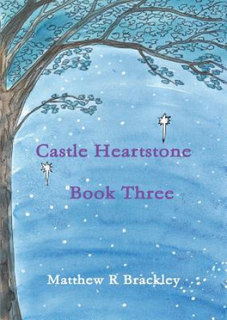 Kniha Castle Heartstone Book Three Matthew R Brackley