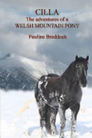 Książka Cilla the Adventures of a Welsh Mountain Pony Pauline Braddock