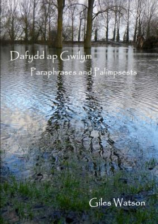 Carte Dafydd Ap Gwilym: Paraphrases and Palimpsests Giles Watson