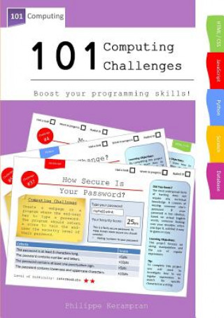 Buch 101 Computing Challenges Philippe Kerampran