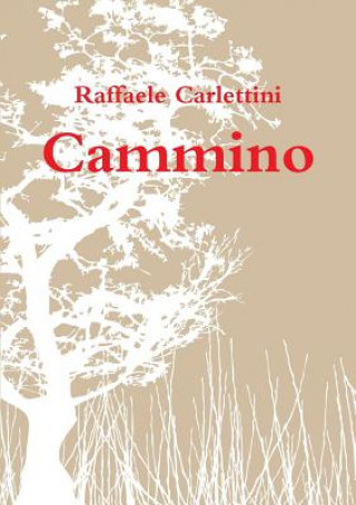 Buch Cammino Raffaele Carlettini