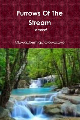 Buch Furrows Of The Stream Oluwagbemiga Olowosoyo