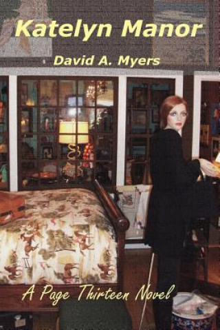 Boek Katelyn Manor David A Myers