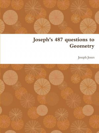 Buch Joseph's 487 Questions to Geometry Joseph Jones