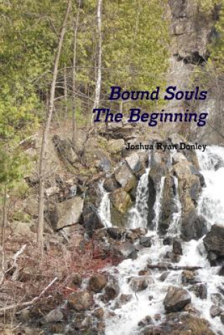 Könyv Bound Souls The Beginning Joshua Ryan Donley