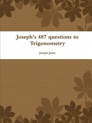 Buch Joseph's 487 Questions to Trigonometry Joseph Jones